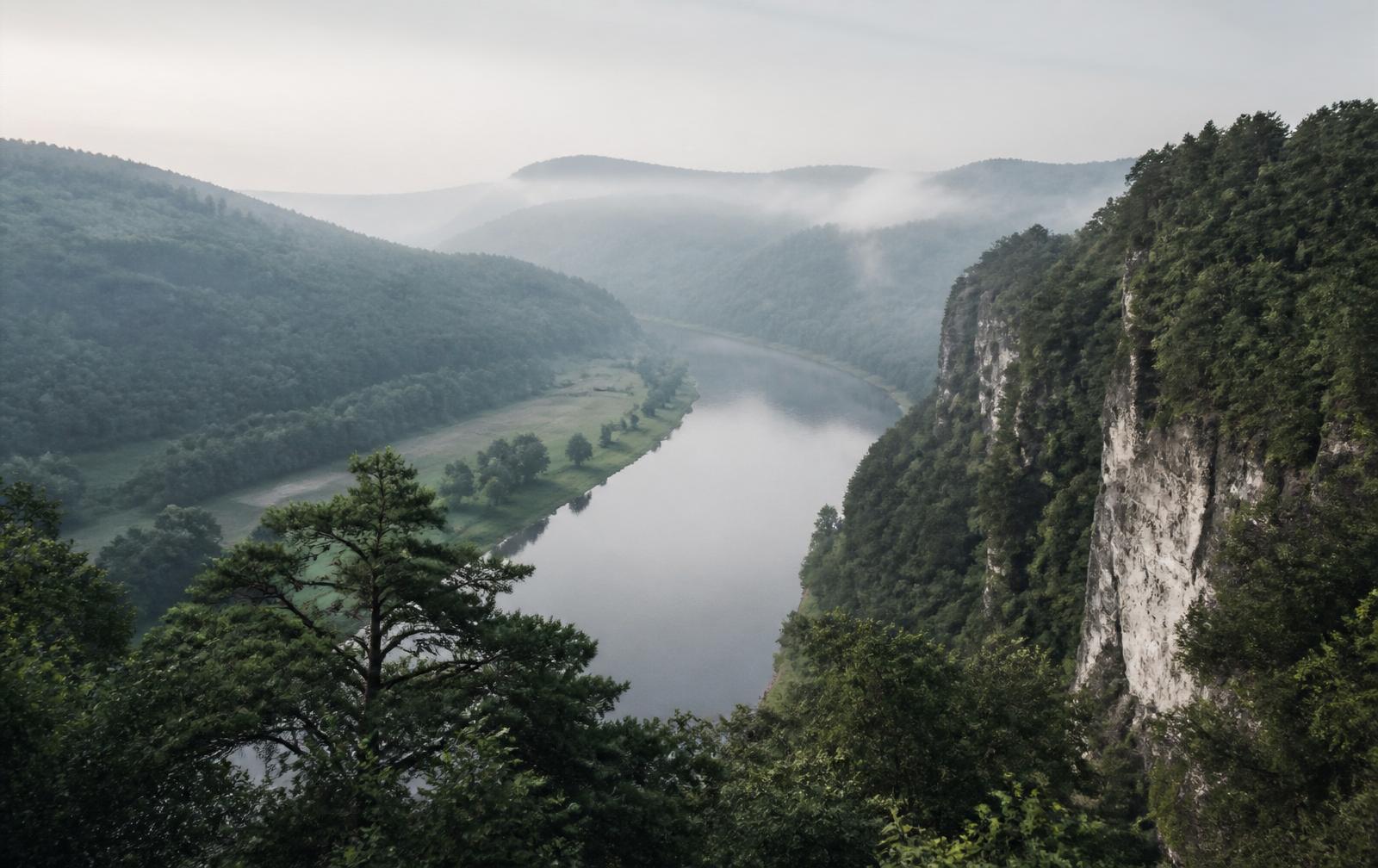 Misty forested river valley in the Czech countryside